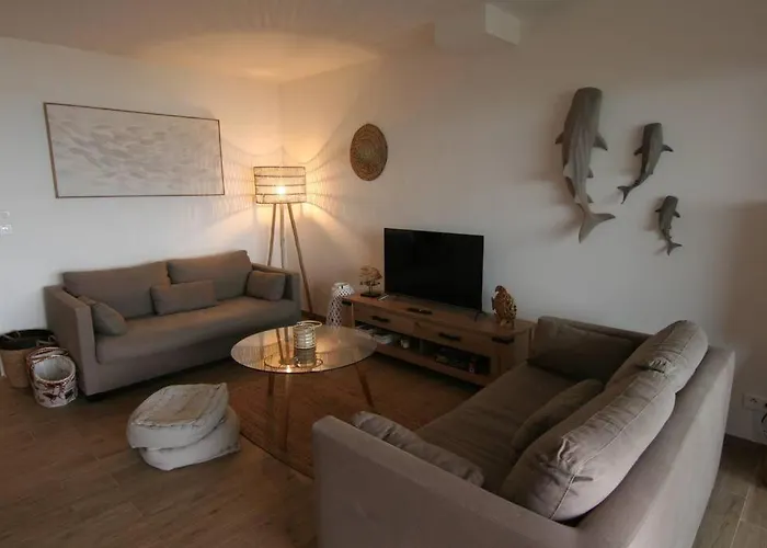 Maison Bord De Dans Avec Piscine * Ajaccio